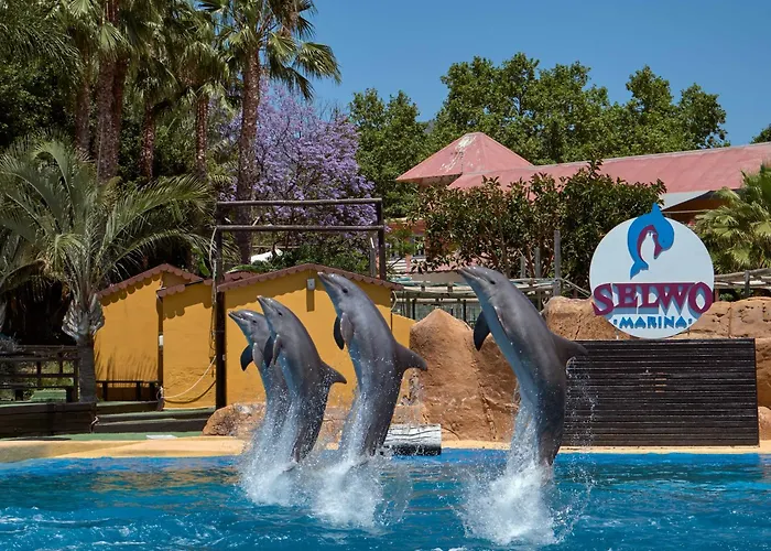 Apart With Swimming Pool Open All Year Benalmadena